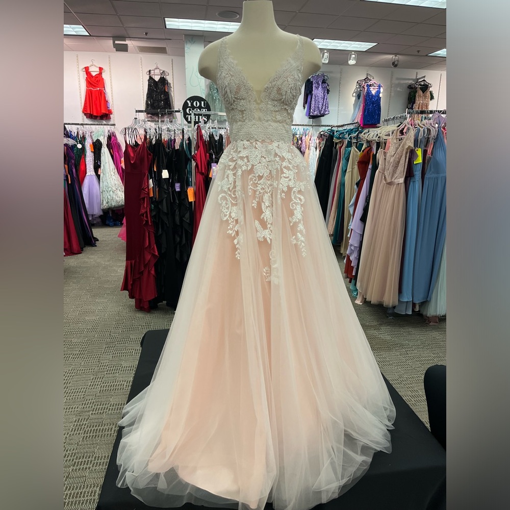 Alyce Paris Blush Lace A-line Gown